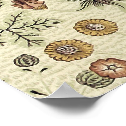 Poster William Morris (Coin)