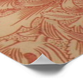 Poster William Morris Fleur de pavot rose Floral (Coin)