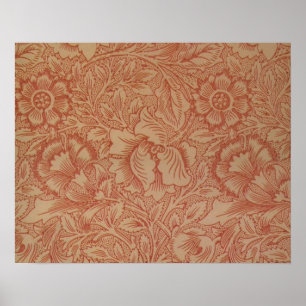 Poster William Morris Fleur de pavot rose Floral