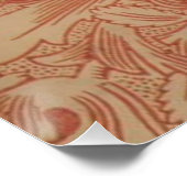 Poster William Morris Fleur de pavot rose Floral (Coin)