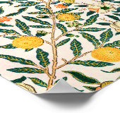 Poster William Morris Fruit grenade Ornement blanc (Coin)
