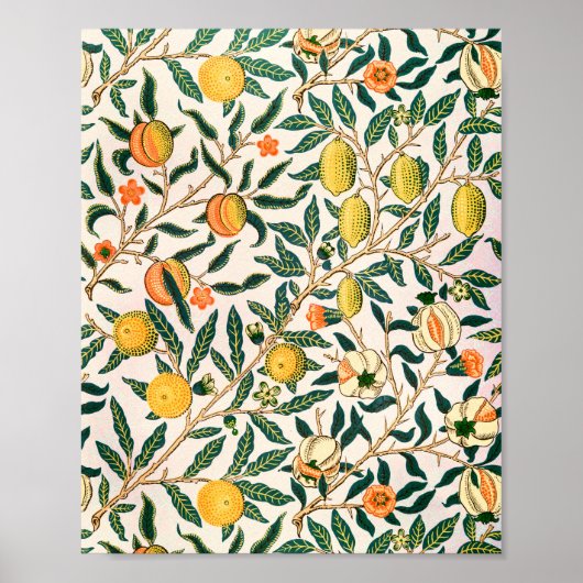Poster William Morris Fruit grenade Ornement blanc (Devant)