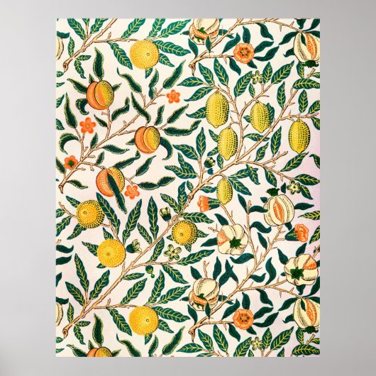Poster William Morris Fruit Grenade Vintage  (Devant)