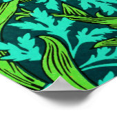 Poster William Morris Irises, orange et turquoise (Coin)