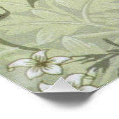 Poster William Morris Jasmine Botanique Antique Vintage (Coin)