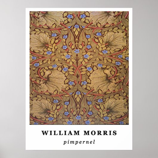 Poster William Morris Pervenche (Devant)
