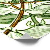 Poster William Morris - Succès de miel en vert et or (Coin)