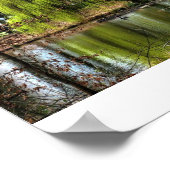 Poster Willow (Coin)