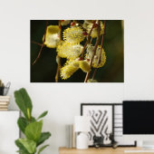 Poster Willow Buds (Bureau à domicile)