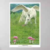 Poster "WILLOW" Pegasus Imaginaire Art (Devant)