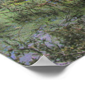 Poster Willow Pond - Cherokee Park (Coin)