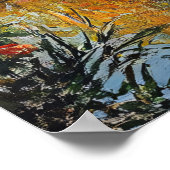 Poster Willow Tree and Lily Pads Landscape Painting (Coin)