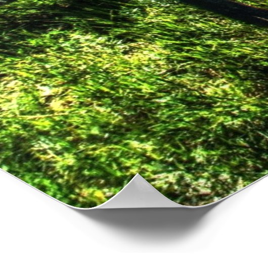 Poster Willy et Chargeur (Coin)