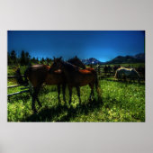 Poster Willy et Chargeur (Devant)