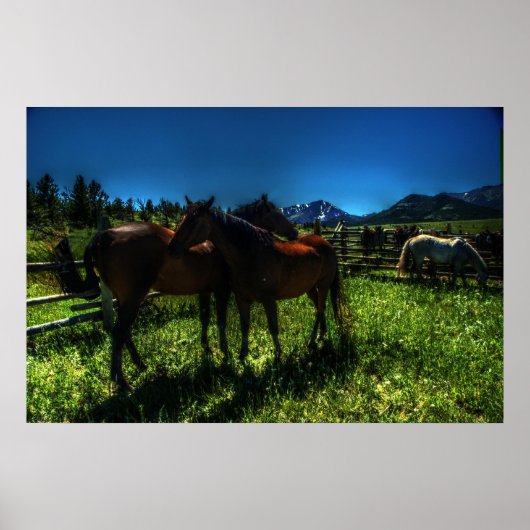 Poster Willy et Chargeur (Devant)