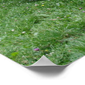 Poster Willys MB Jeep (Coin)