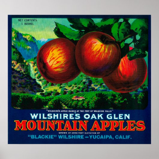 Poster Wilshire's Oak Glen Apple Crate Étiquette (Devant)