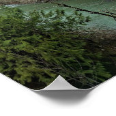 Poster Wilson River (Oregon) (Coin)