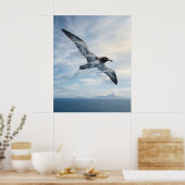 Poster Wind Albatross Endless Ocean (Cuisine)