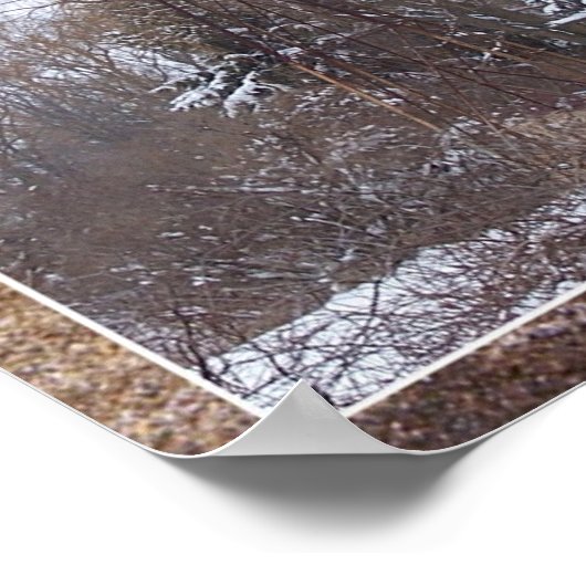 Poster Windmill hiver - Mat (Coin)