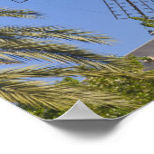 Poster Windmill, Palma, Majorque, Espagne (Coin)