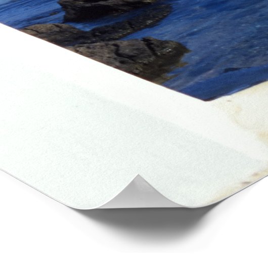 Poster Window (Coin)