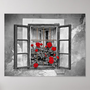 Poster window-477937 window house black and white flowers