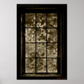 Poster Window Ivy Sepia, Jeffrey Sinnock (Devant)