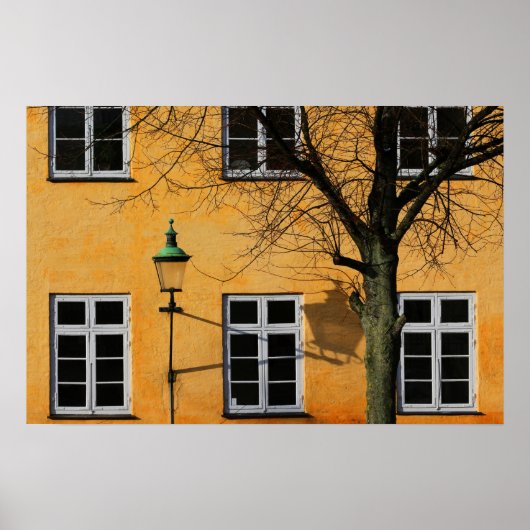 Poster Windows (Devant)