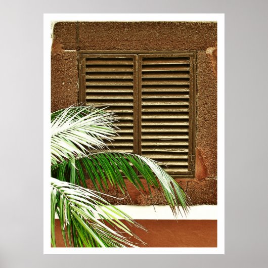 Poster Windows (Portugal) (Devant)