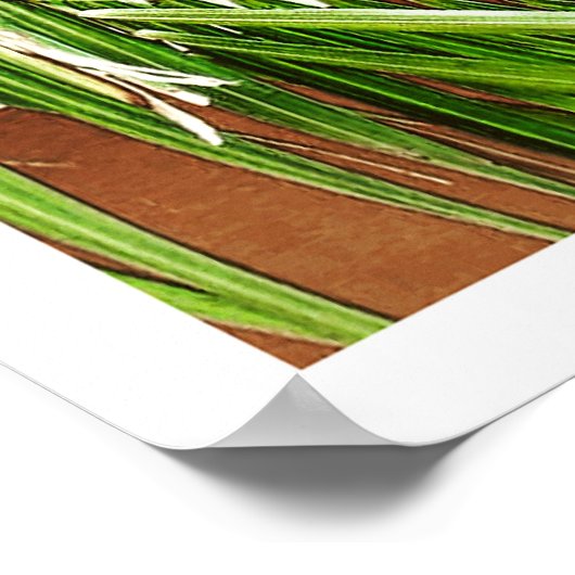 Poster Windows (Portugal) (Coin)