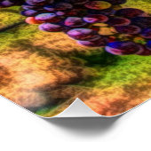 Poster Winery Grapevine sunny tuscany vineyard (Coin)