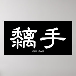 Poster Wing Chun Chi Sau Calligraphie chinoise blanche