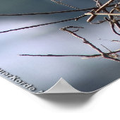 Poster Wingspan (Coin)