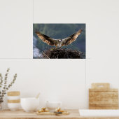 Poster Wingspan (Cuisine)