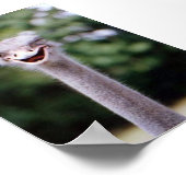 Poster Wink (Coin)