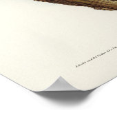 Poster Winking Owl par Elizabeth Gould (Coin)