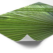 Poster "Winnow" (Coin)