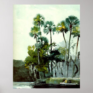 Poster Winslow Homer - Homosassa River