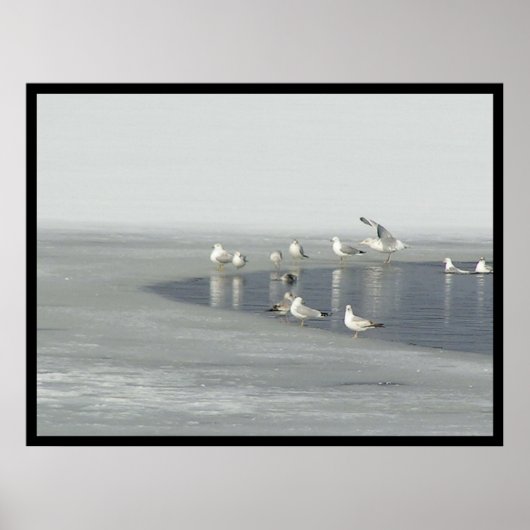 Poster Winter Birds (Devant)