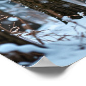 Poster Winter Buck (Coin)