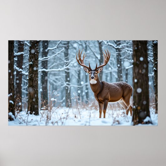 Poster Winter Buck (Devant)