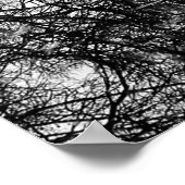 Poster Winter Central Park, NYC Paysage (Coin)