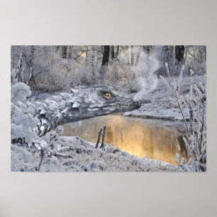 Poster Winter Dragon