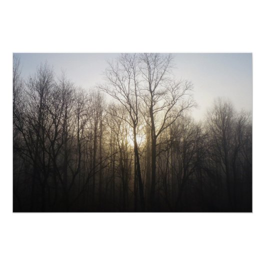 Poster Winter Fog Sunrise Nature Photographie (Devant)