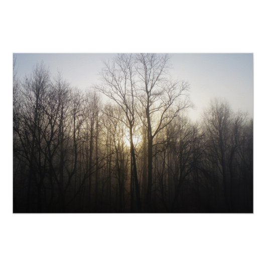 Poster Winter Fog Sunrise Nature Photographie (Devant)