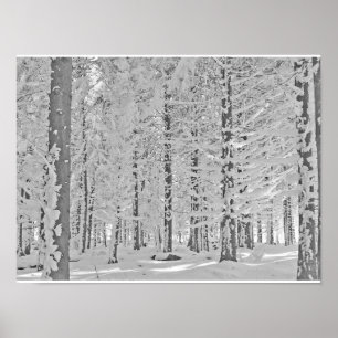 Poster Winter foret