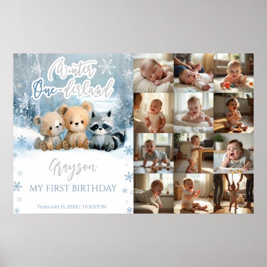 Poster Winter Onederland Blue My First Year Photo Sign (Devant)