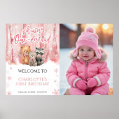 Poster Winter Onederland Pink First Photo Welcome Sign (Devant)