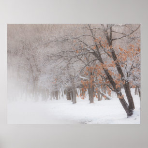 Poster Winter Snow   Lake Kussharo